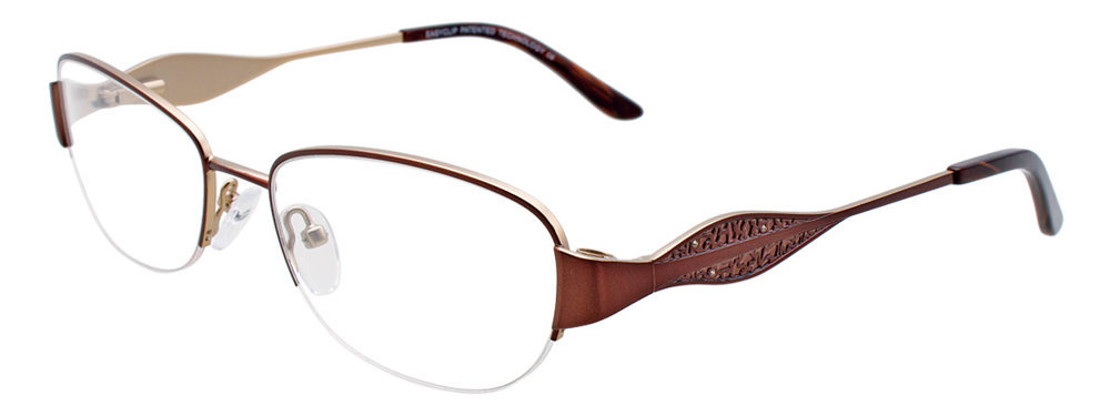 Picture of Easyclip Eyeglasses EC391