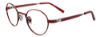 Picture of Easyclip Eyeglasses EC434