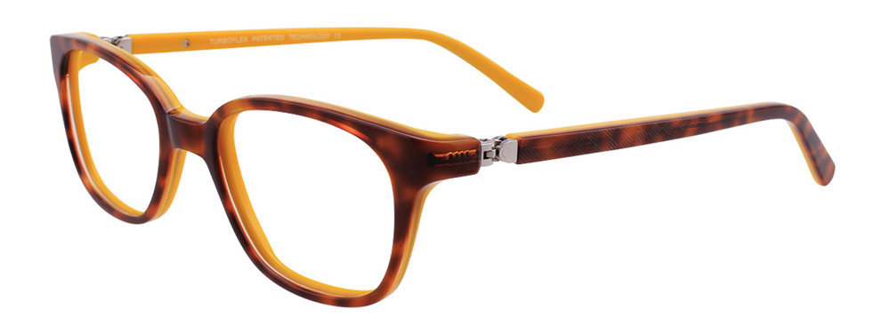 Picture of Easyclip Eyeglasses EC430