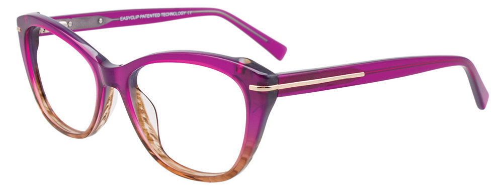 Picture of Easyclip Eyeglasses EC425