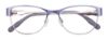 Picture of Easyclip Eyeglasses EC405