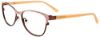Picture of Easyclip Eyeglasses EC414