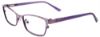 Picture of Easyclip Eyeglasses EC415