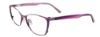 Picture of Easyclip Eyeglasses EC442
