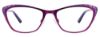 Picture of Easyclip Eyeglasses EC456