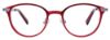 Picture of Easyclip Eyeglasses EC489