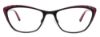 Picture of Easyclip Eyeglasses EC456