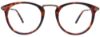 Picture of Easyclip Eyeglasses EC485