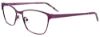 Picture of Easyclip Eyeglasses EC502