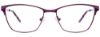 Picture of Easyclip Eyeglasses EC502