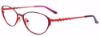 Picture of Easyclip Eyeglasses EC540