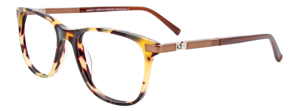 Picture of Easyclip Eyeglasses EC555