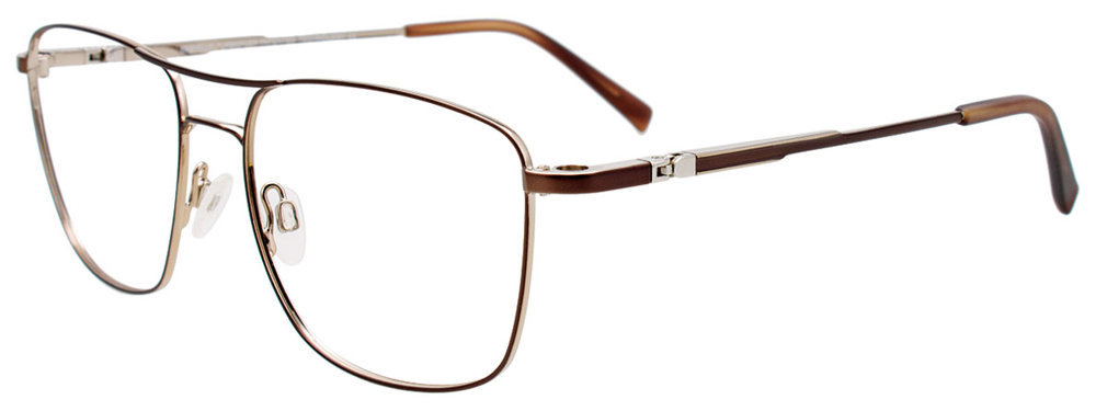 Picture of Easyclip Eyeglasses EC579