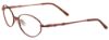 Picture of Easyclip Eyeglasses EC179