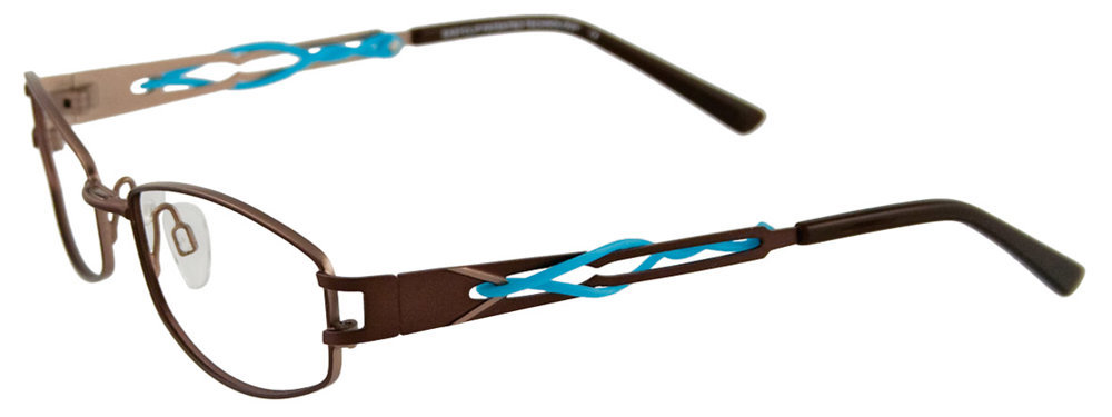 Picture of Easyclip Eyeglasses EC250