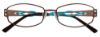 Picture of Easyclip Eyeglasses EC250