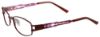 Picture of Easyclip Eyeglasses EC250