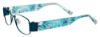 Picture of Easyclip Eyeglasses EC253