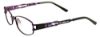 Picture of Easyclip Eyeglasses EC250