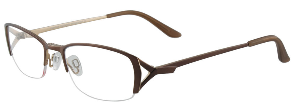 Picture of Easyclip Eyeglasses EC281