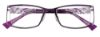 Picture of Easyclip Eyeglasses EC289