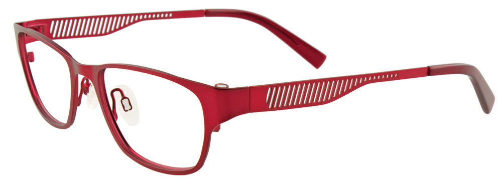 Picture of Easyclip Eyeglasses EC310