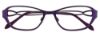 Picture of Easyclip Eyeglasses EC302