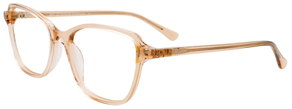 Picture of Easyclip Eyeglasses EC585