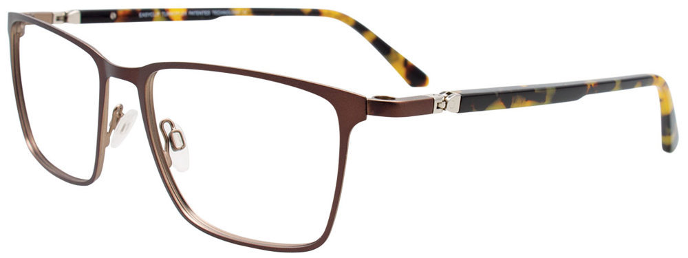 Picture of Easyclip Eyeglasses EC613