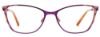 Picture of Easyclip Eyeglasses EC591
