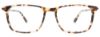 Picture of Easyclip Eyeglasses EC595