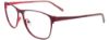 Picture of Easyclip Eyeglasses EC487