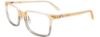 Picture of Easyclip Eyeglasses EC609
