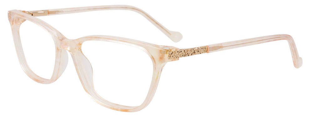 Picture of Easyclip Eyeglasses EC618