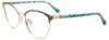 Picture of Easyclip Eyeglasses EC610