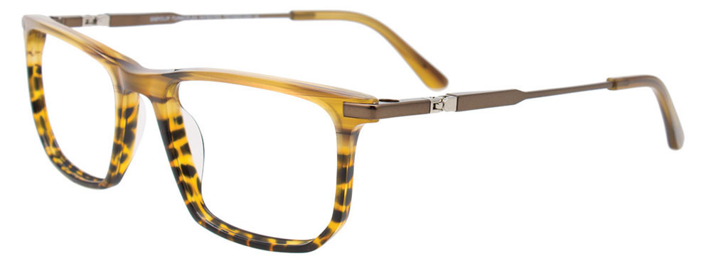 Picture of Easyclip Eyeglasses EC627