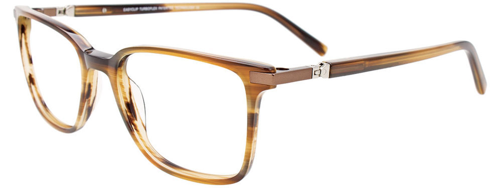 Picture of Easyclip Eyeglasses EC611