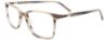Picture of Easyclip Eyeglasses EC611