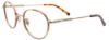 Picture of Easytwist Eyeglasses ET9009