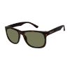 Picture of Eddie Bauer Eyeglasses 39413P