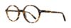 Picture of Eight to Eighty Eyeglasses Brandon