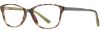 Picture of Elements Eyeglasses EL-316