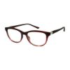 Picture of Elle Eyeglasses EL 13448