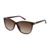 Picture of Elle Sunglasses EL 14853