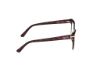 Picture of Emilio Pucci Eyeglasses EP5245