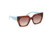 Picture of Emilio Pucci Sunglasses EP0197