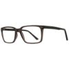 Picture of Equinox Eyeglasses EQ324