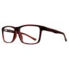 Picture of Equinox Eyeglasses EQ320