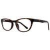Picture of Equinox Eyeglasses EQ302