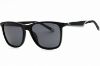 Picture of Fila Sunglasses SFI461
